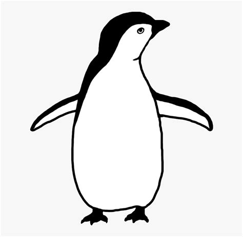 Penguin Silhouette - Penguin Clipart Black And White, HD Png Download ...