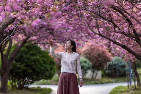 图说日照 日照要闻日照新闻网，日照第一门户网站。日照新闻 日照日报 黄海晨