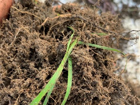 Soil Monitoring Guide Soilmentor