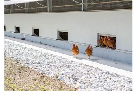 Ska Poultry Houses Prefabricated Shed Poultry House By