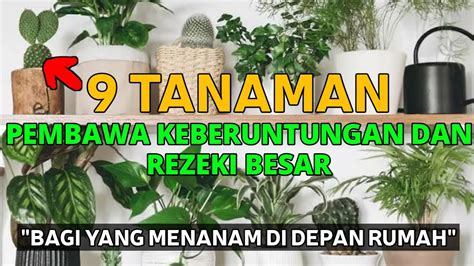 TANAM SEKARANG DI DEPAN RUMAH MU Inilah Tanaman Tanaman Pembawa