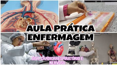 Aula Pr Tica De Enfermagem Sistema Nervoso E Cardiorrespirat Rio Youtube