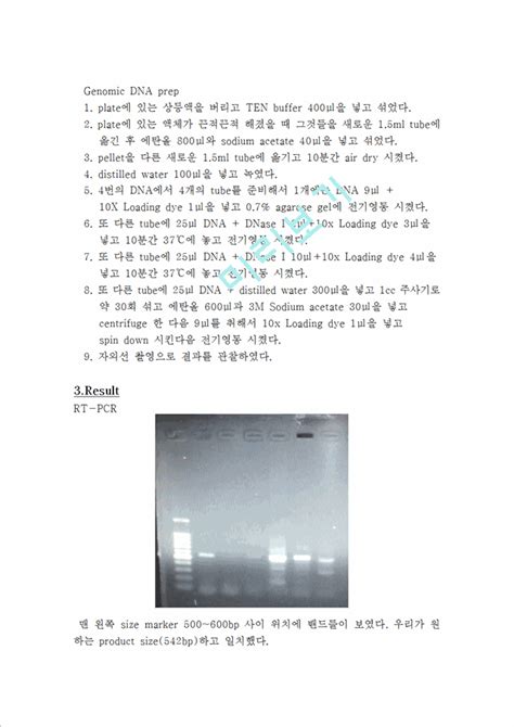 Rt Pcr Bradford Assay Sds Page Genomic Dna Prep