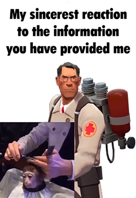 my reaction to that information | Team fortress 2 medic, Team fortress 2, Tf2 funny