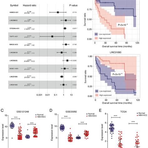 Prognostic Performance Of The Hbv Associated Lncrna Signature In Liver