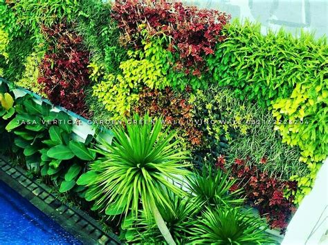 Berikut Ini 21 Contoh Gambar Vertical Garden Dinding Hijau Jasa