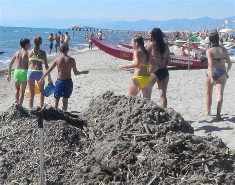 Stato di calamità per il lavarone Turni straordinari per la raccolta