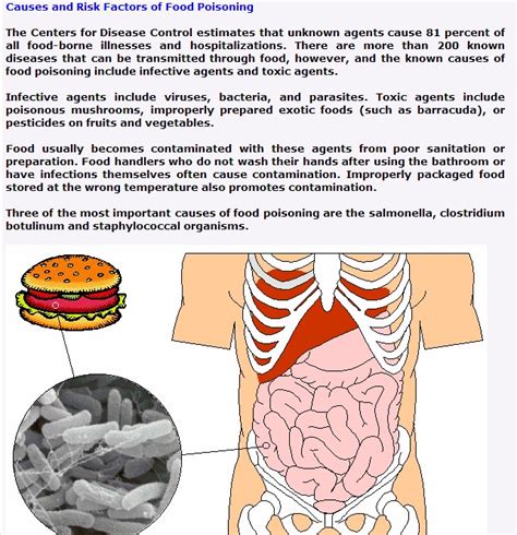 Just Articles: Food Poisoning Symptoms, Treatment and Prevention