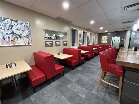 Rotary Villas at Crocus Gardens - Introducing Drumming to be Fit! We