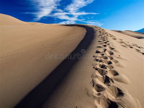 Pegadas Na Duna De Areia Ridge Grandes Dunas De Areia Parque Nacional