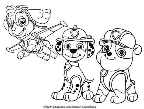 Rubble Paw Patrol Para Colorear Porn Sex Picture