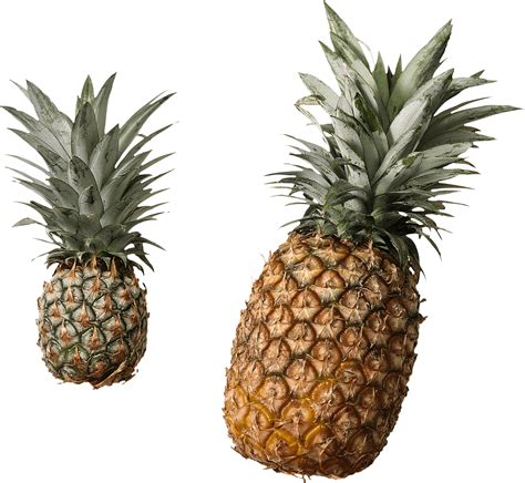 Ananas Duo Transparente PNG StickPNG