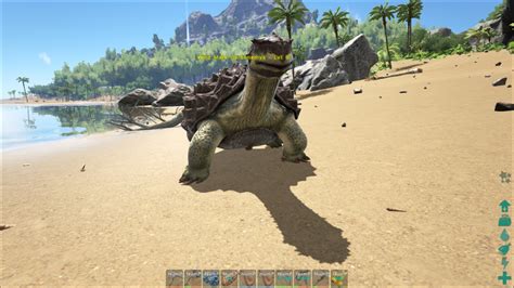 Image Ark Carbonemys Screenshot 002  Ark Survival Evolved Wiki Fandom Powered By Wikia