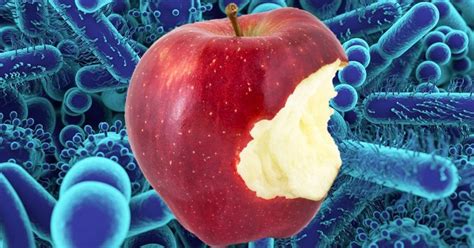 Apples Carry A Whole Load Of Bacteria Research Shows Metro News