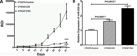 MiR 222 3p Expression And Tumor Growth In Different EOC Athymic Nude