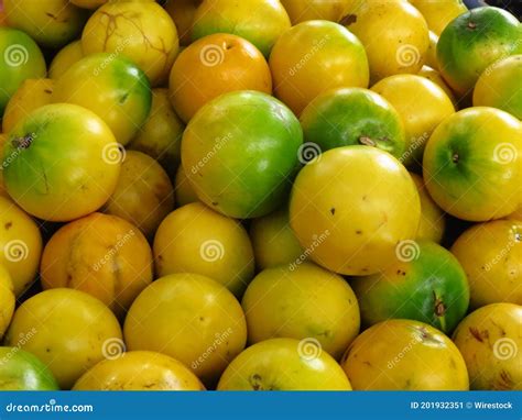 Top View Of Exotic Pouteria Caimito Fruits In A Bunch Also Known As