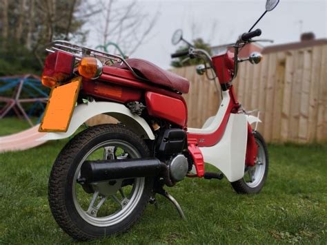 1984 Suzuki Fz50 Red Moped Photos — Moped Army