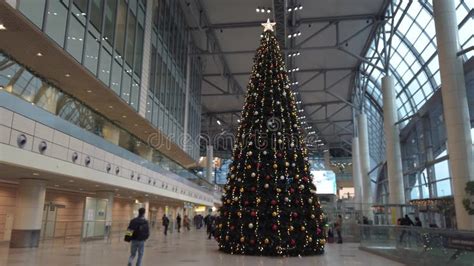 Árbol De Navidad Dentro De La Terminal Del Aeropuerto Internacional De