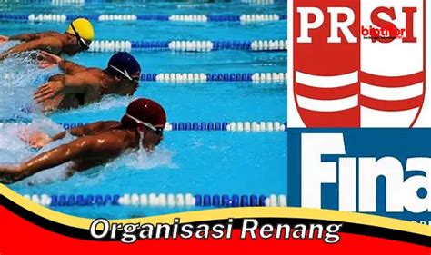 Panduan Lengkap Seputar Organisasi Renang Memahami Peran Pentingnya