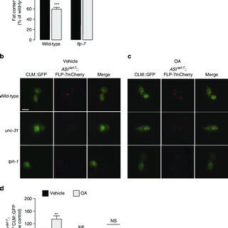 The Nutrient Sensor AAK 2 AMPK Regulates FLP 7 Release From ASI