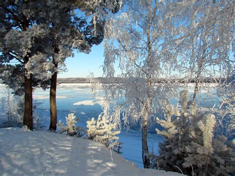 russia, Winter, Rivers, Trees, Snow, Fir, Nature Wallpapers HD / Desktop and Mobile Backgrounds