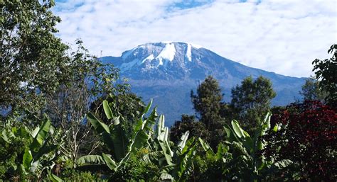 1920x1080 mount kilimanjaro wallpaper for computer - Coolwallpapers.me!