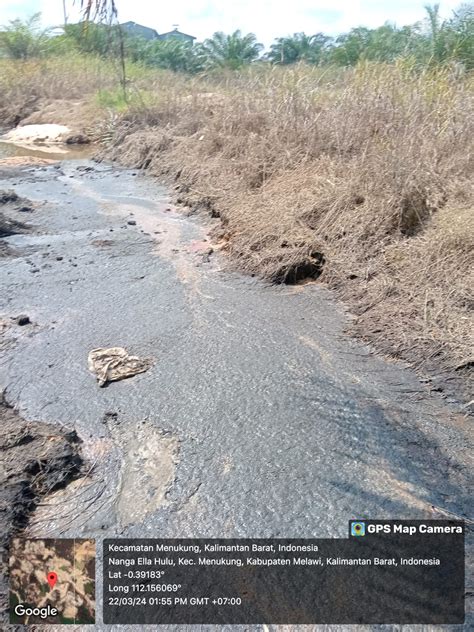 Pks Bpk Di Duga Sengaja Buang Limbah Di Area Kebun Cemari Lingkungan