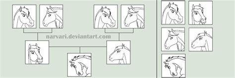 Horse Family Tree Base by Narvari on DeviantArt