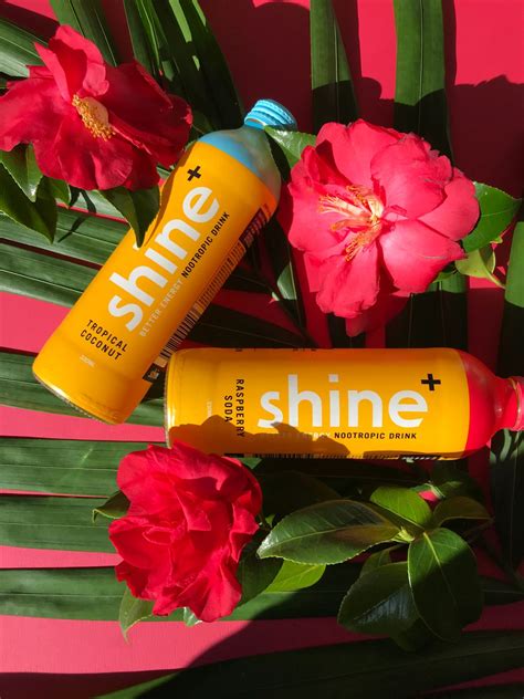 Shine Mixed Case 330ml X 12 Shine Drink