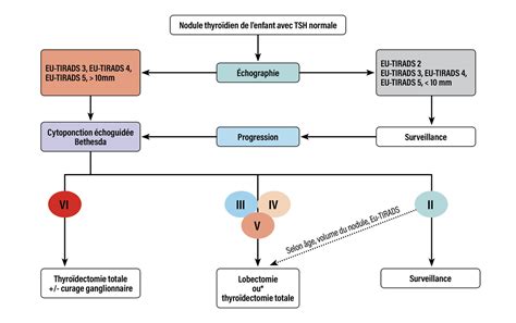 Arbre D Cisionnel De La Prise En Charge Diagnostique Dun Nodule
