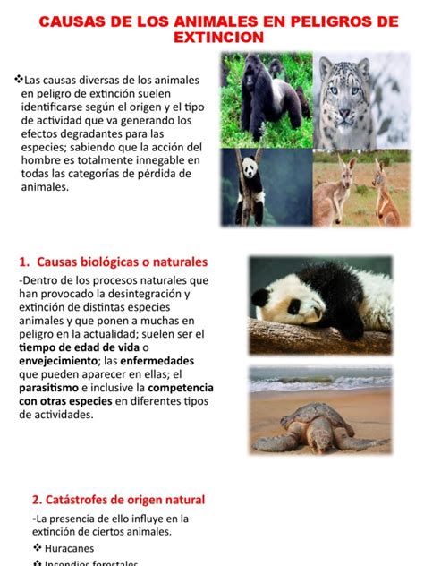 Causas De Los Animales En Peligros De Extincion Pdf