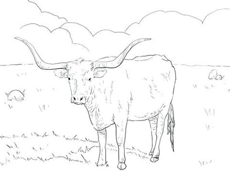 The best free Cattle coloring page images. Download from 92 free ...