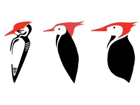 Woodpecker Logo Design by Haydn Symons on Dribbble