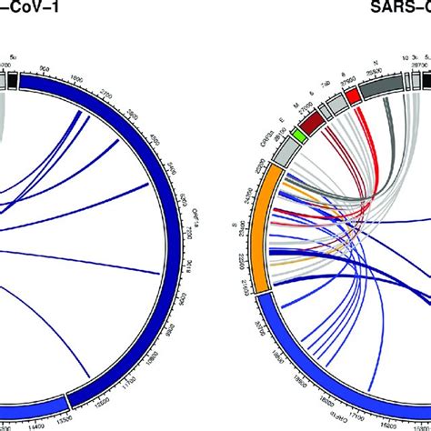 Predicted Long Range Rna Rna Base Pairing Interactions Between Spike