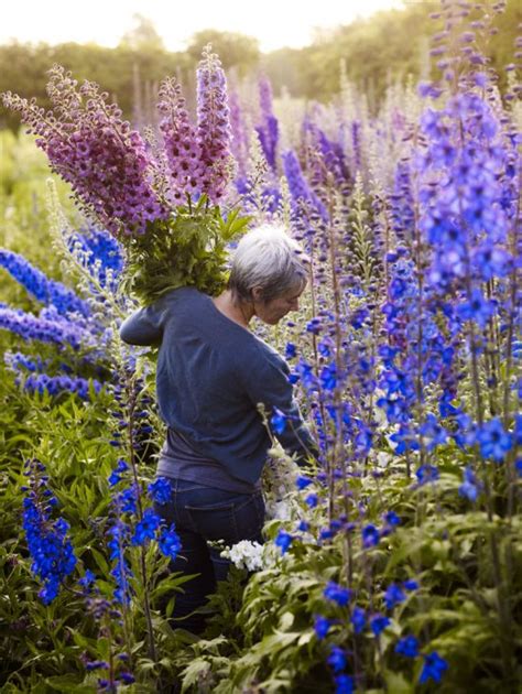 Flower Farming - Through the Seasons - Green and Gorgeous Flowers