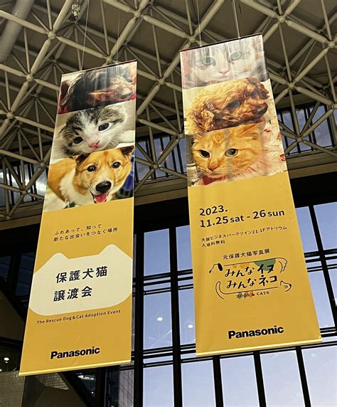 パナソニック保護犬猫譲渡会に参加させていただきました！！ 公益財団法人日本アニマルトラスト