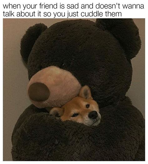 Bear hug : r/wholesomememes