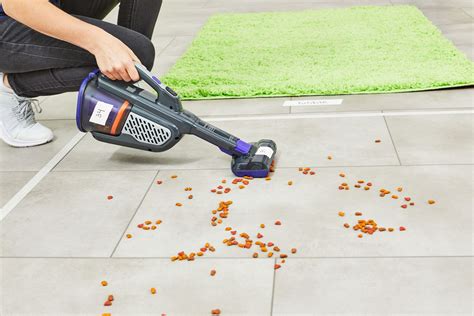 Best Cordless Vacuums for Pets, According to Months of Testing