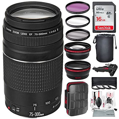 Canon Ef 75 300mm F4 56 Iii Telephoto Zoom Lens For Canon Dslr And