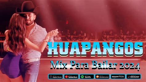 Mix De Huapangos Puros Huapangos Para Bailar Mix