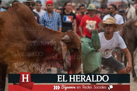 El Heraldo De Poza Rica Multa De Mil Pesos Y Arresto De Horas A