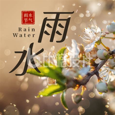 二十四节气雨水简约实景花朵黄色公众号次图 比格设计