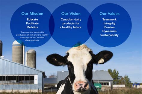 Annual Report 2016 2017 Dairy Farmers Of Canada