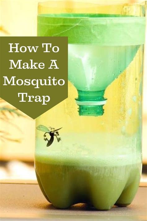 How To Make A Mosquito Trap Artofit