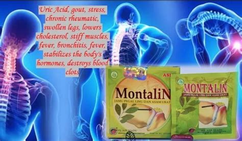 MONTALIN HERBAL CAPSULE 1BOX Ship Agad Lazada PH