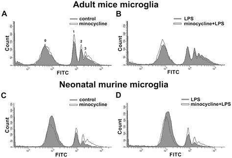 Sirt Activation By Minocycline On Regulation Of Microglial