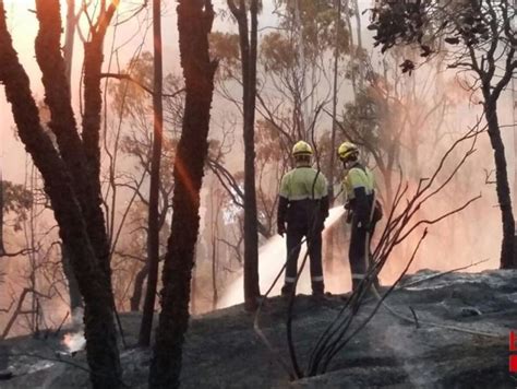 Estabilitzat L Incendi De Blanes Que Ha Cremat M S De Hect Rees