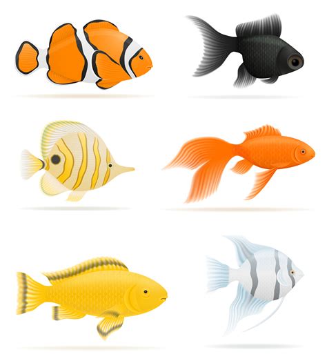 aquarium fish vector illustration 509558 Vector Art at Vecteezy