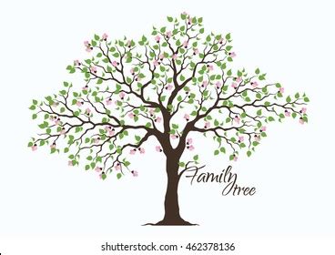 Family Tree Background Wallpaper