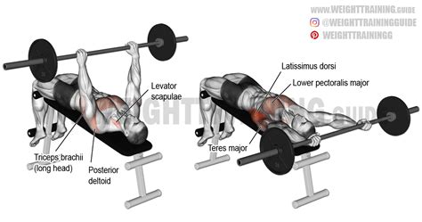 Decline Barbell Pullover Exercise Guide And Video Weight Training